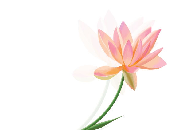 Lotus flower